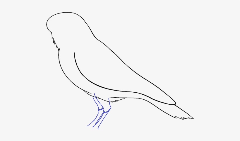 How To Draw A Raven - Sketch, transparent png #711394