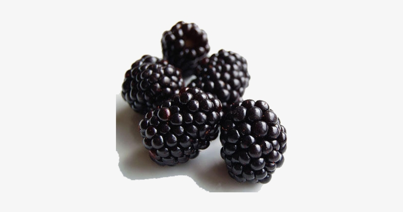 Black Raspberries Png Clipart - Black Raspberry Fruit, transparent png #711566
