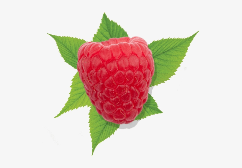 Raspberry Raspberry - Raspberry, transparent png #711753