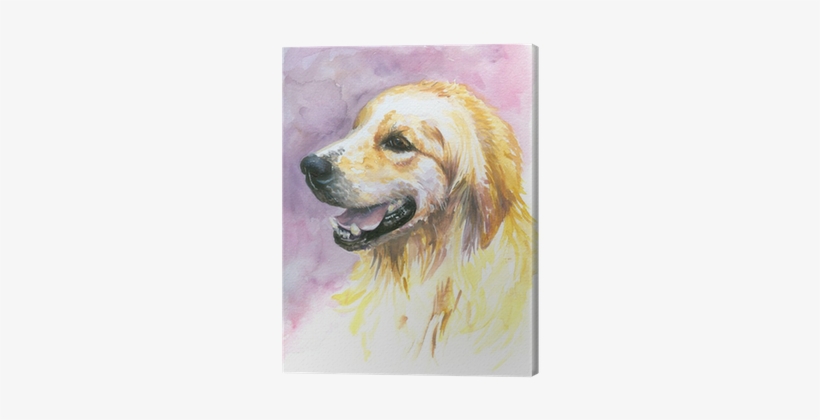 Labrador Golden Retriever Watercolor Painted - Designart 'sweet Yellow God Watercolor' Painting Print, transparent png #711899