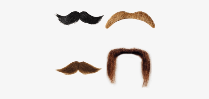 Mustaches - Moustache, transparent png #712283