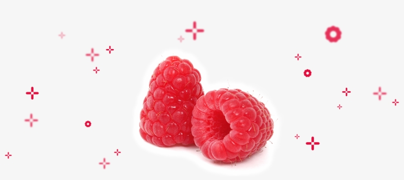 Our Entire Philosophy Has A Sole And Fundamental Objective - Frutti Di Bosco, transparent png #712354