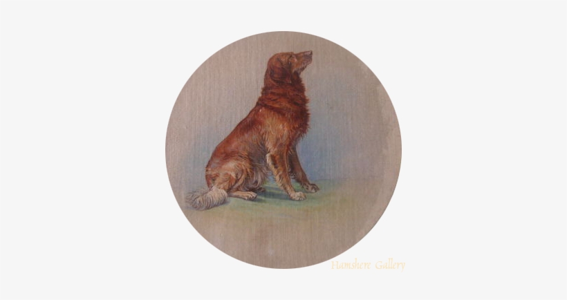 Click To See Full Size - Golden Retriever, transparent png #712466