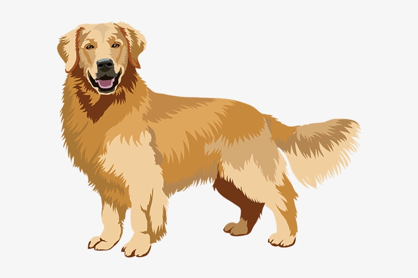 Realistic Dog Art Has Stickers - Golden Retriever Art Png, transparent png #712469