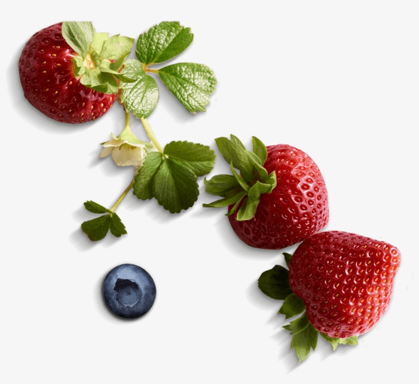 Go To Image - Food, transparent png #712528