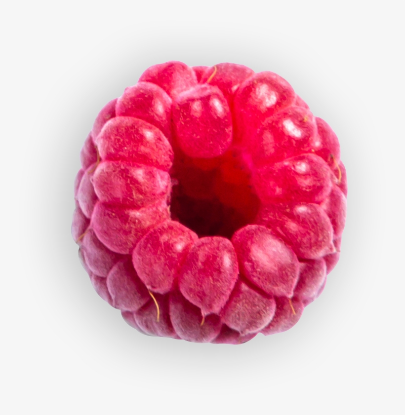 Also, May Contain Nuts, Peanuts, Milk And Soya - Raspberry, transparent png #712553