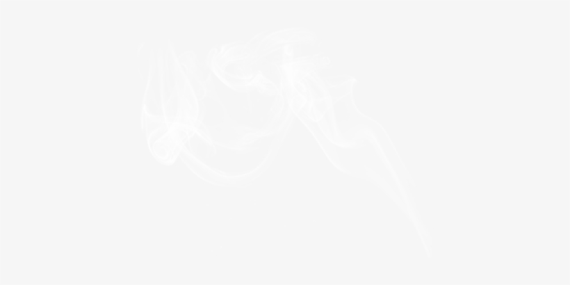The Puff Of Smoke Visualizes The Combustion Gasses - Twitter White Icon Png, transparent png #713118