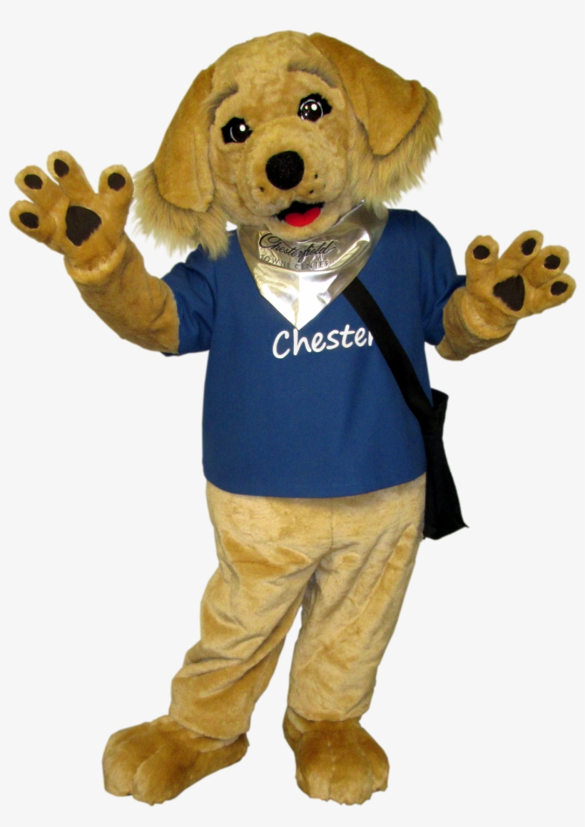 Macerich -chester The Golden Retriever - Golden Retriever, transparent png #713211