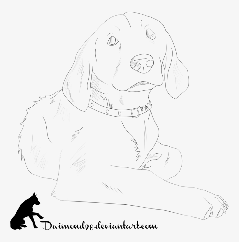 Drawn Golden Retriever Simple - Sketch, transparent png #713428