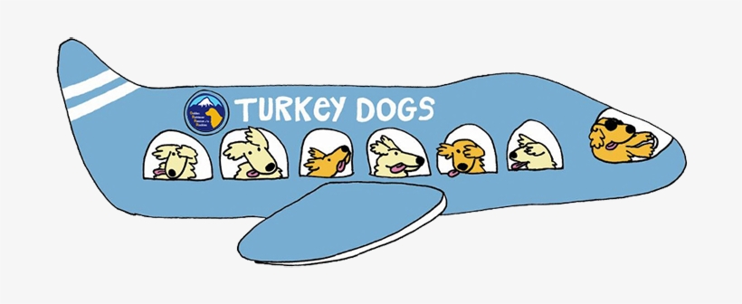 Joining Adopt A Golden Atlanta, Grrr Is Excited To - Turkey Golden Retrievers, transparent png #713452