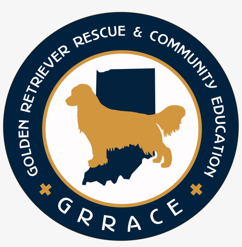 Golden Retriever Rescue And Community Education Inc - Angel Tube Station, transparent png #713825