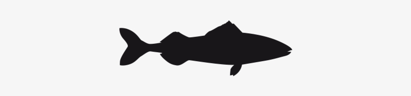 Order Or More Information - Thumbnail, transparent png #714185