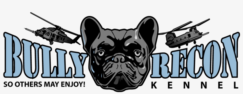 Logo - Gullible Slowly It Sounds Like, transparent png #714322