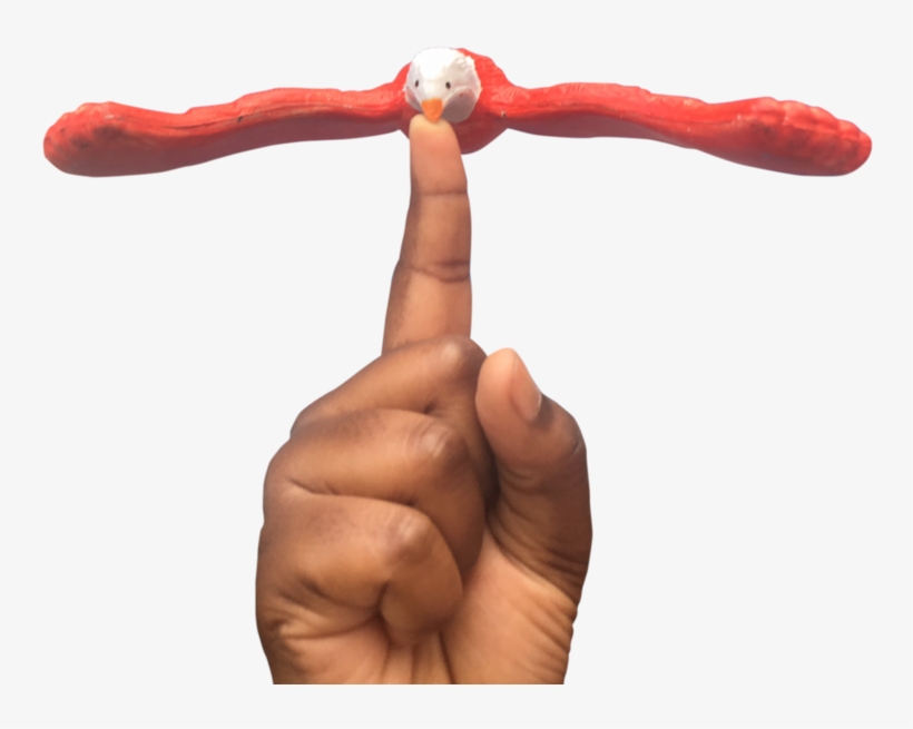Migration, transparent png #715533