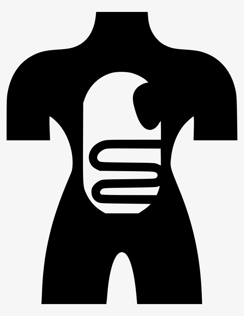 Anatomy Human Body Dissection - Dissection, transparent png #716113