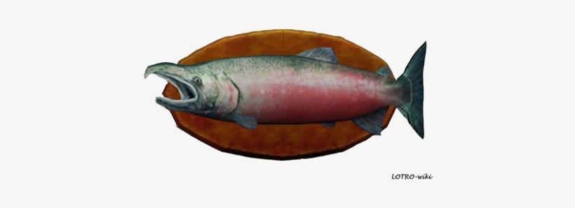 30-pound Salmon Trophy - Sockeye Salmon, transparent png #716117