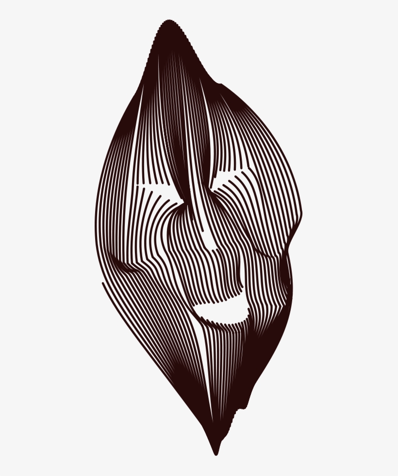 Laughing Lines - Clip Art, transparent png #716316