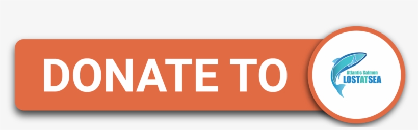 Atlantic-salmon - Portable Network Graphics, transparent png #716462