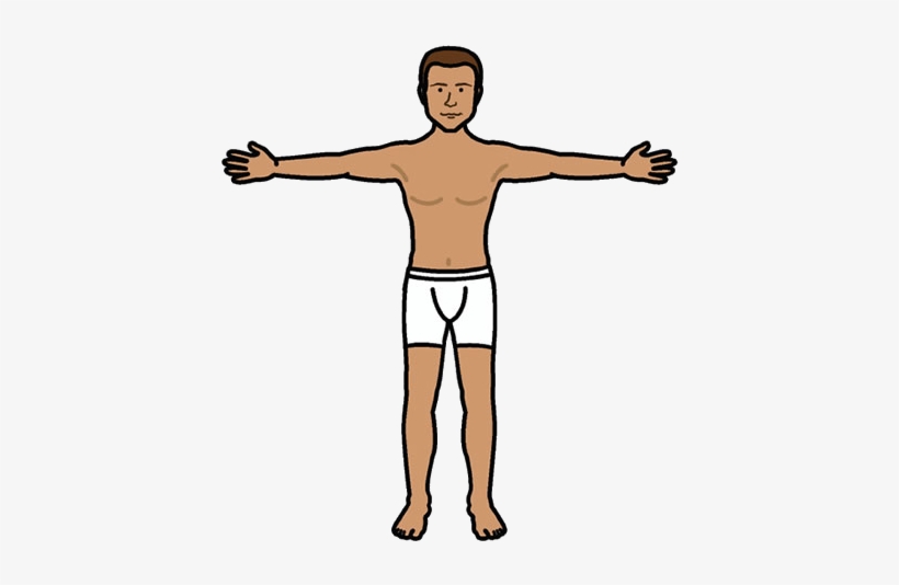 Book Traversal Links For Body - Search Engine, transparent png #716463