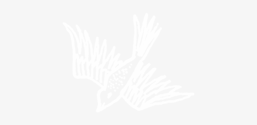 Bird White Small Wide - Unity Logo White Png, transparent png #717247