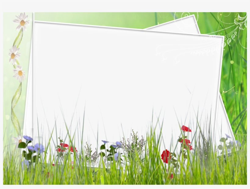 Image Black And White Download Green And White Transparent - Green Flower Borders And Frames, transparent png #717488