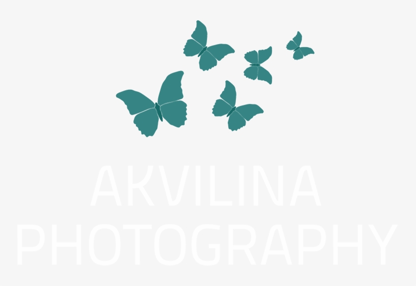 Akvilina Photography - Photography, transparent png #717724