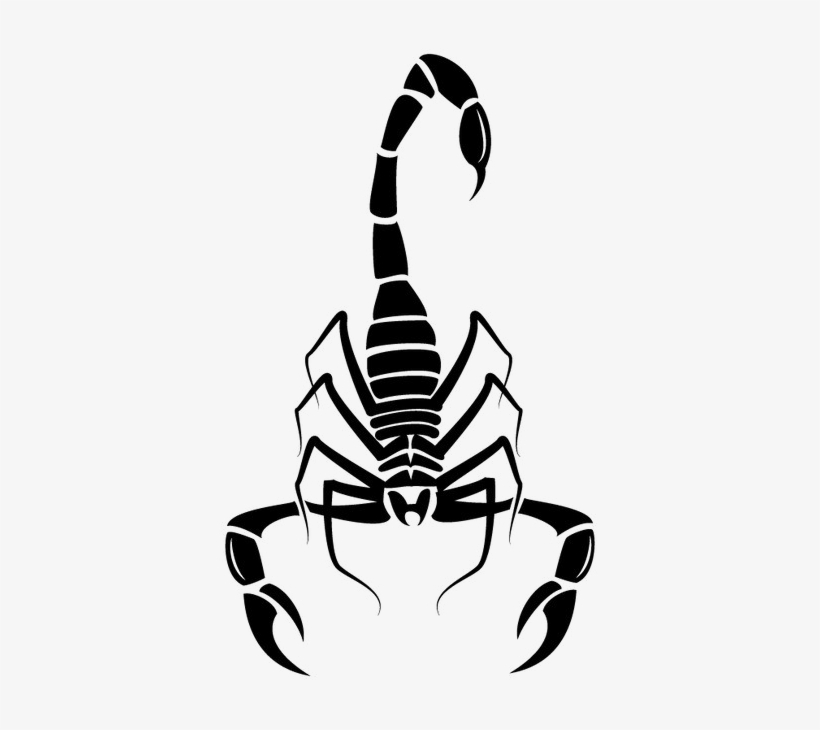 Scorpio Png Image Background - Scorpions Tail Vector, transparent png #718350