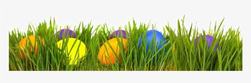 Eggs Transparent Image Arts - Easter Eggs In Grass Png, transparent png #719194