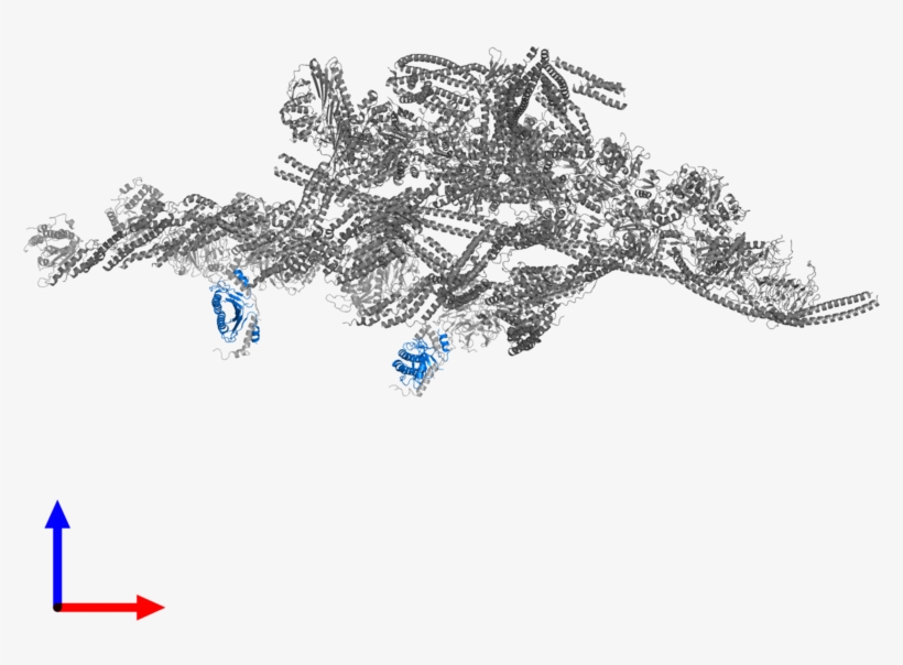 <div Class='caption-body'>pdb Entry 6f1t Contains 4, transparent png #7103304