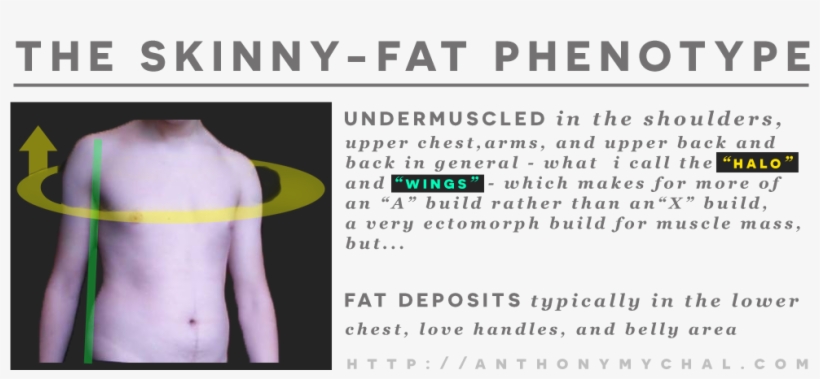 What Is Skinny Fat Syndrome Or A Skinny Fat Ectomorph, transparent png #7104146