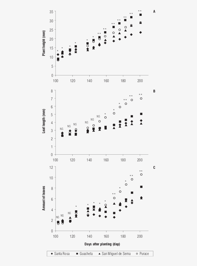 Chronological Development Of The Colombian Blueberry, transparent png #7106424