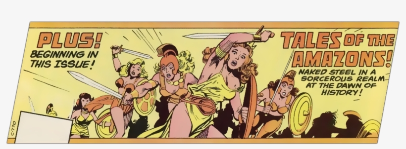 Tales Of The Amazons Cover Wwv1-247, transparent png #7108909