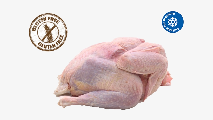 Our Range Typically Includes, transparent png #7108962