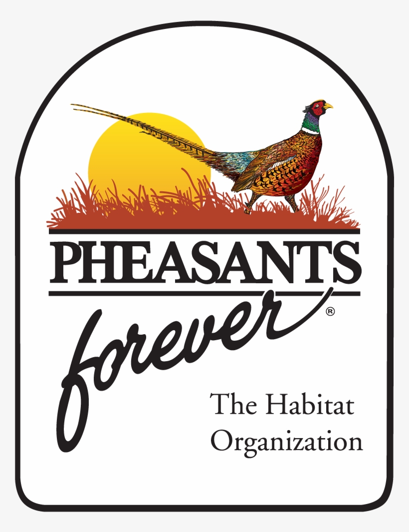 Pheasants Forever, Quail Forever, transparent png #7109094