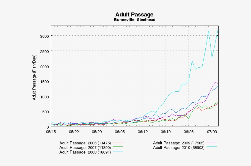 56 162k 3pelicans Bigfish2 02 Jan 2013, transparent png #7115467