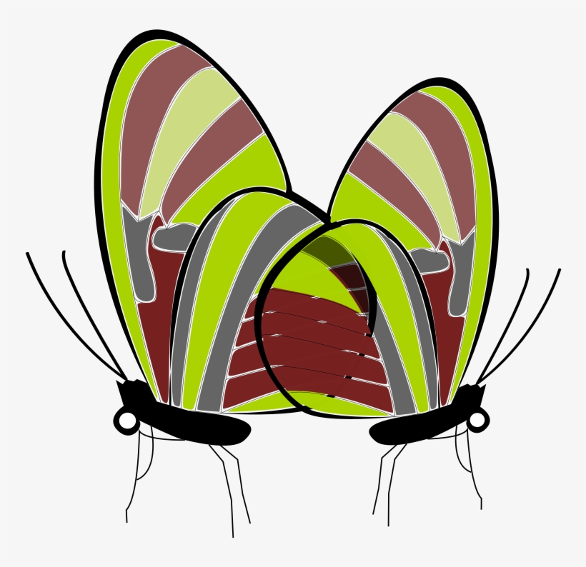 This Png File Is About Butterflies , Papillon , Butterfly, transparent png #7116086