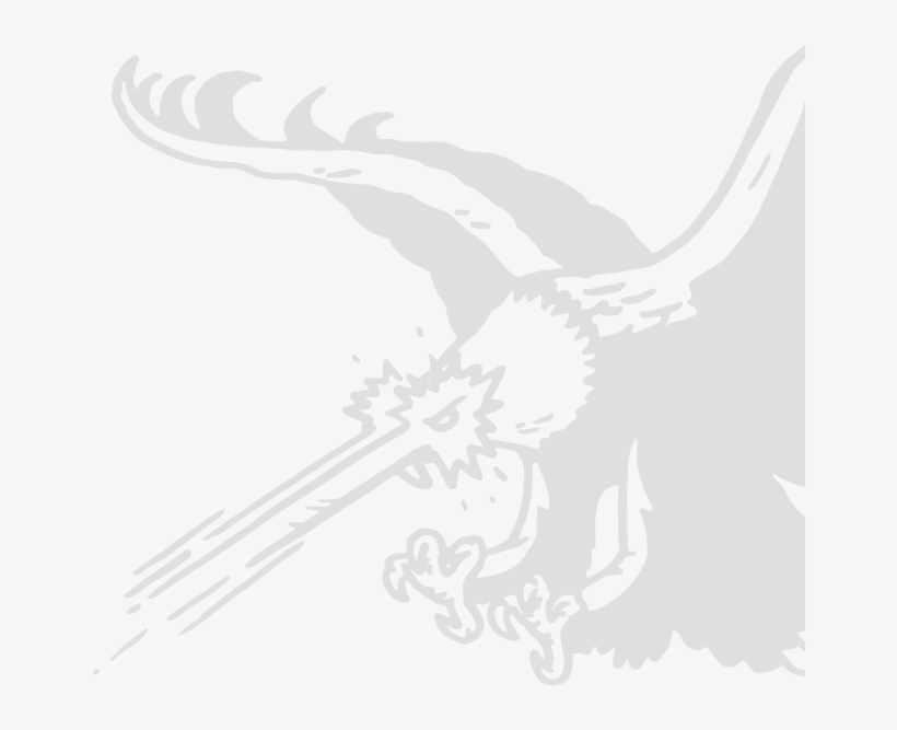 Image Description - Gnar, transparent png #7116326