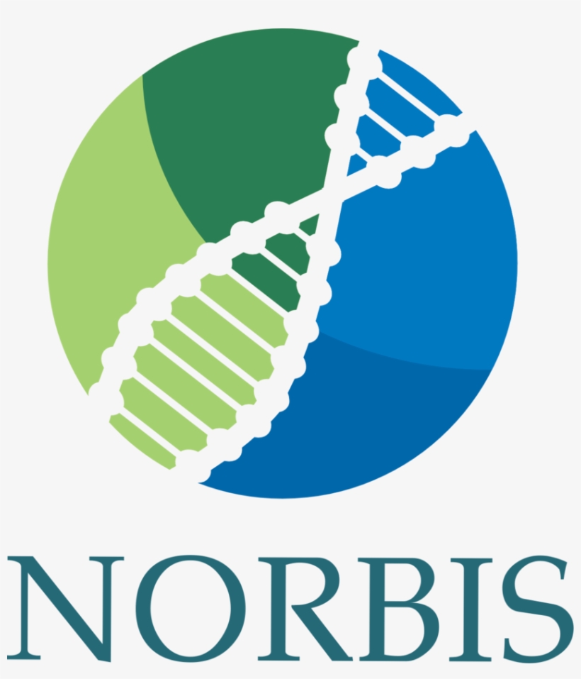 Norbis Logo, transparent png #7117103