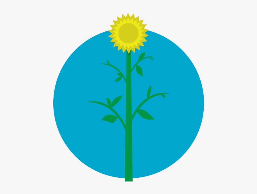 Greenredeem Greener Lifestyle, transparent png #7118618
