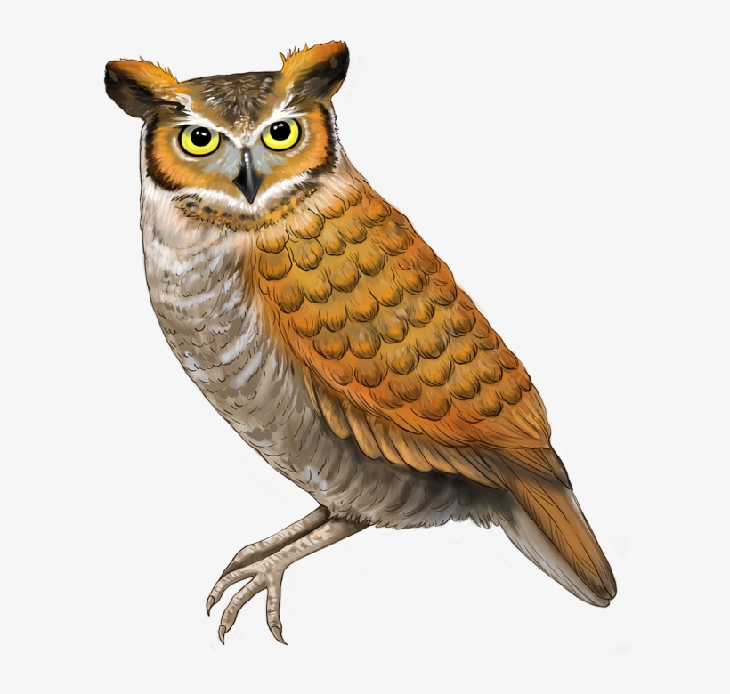 We're, transparent png #7122274