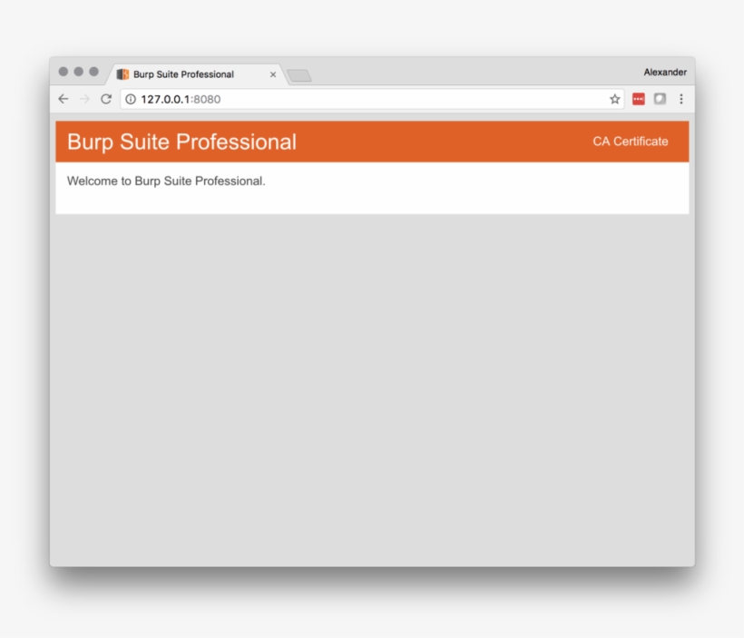 Dev Burp Cert, transparent png #7126247