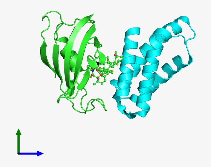 Pdb 3fap Coloured By Chain And Viewed From The Front, transparent png #7127867