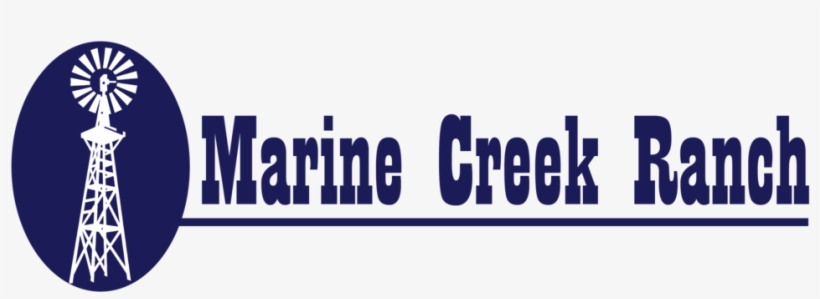 Marine Logo Png, transparent png #7138293