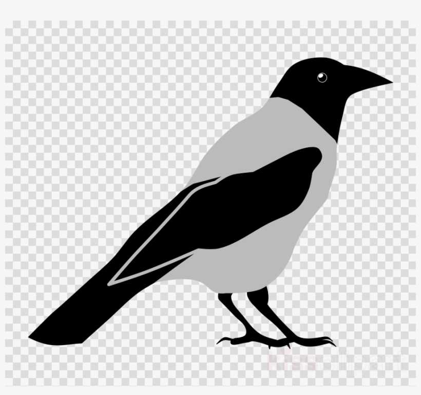 Crow Clipart Eurasian Magpie Clip Art, transparent png #7139791