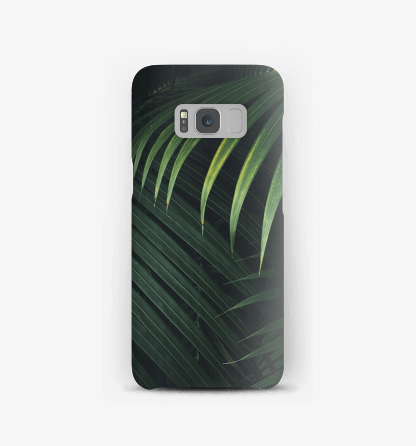 Palmeras Funda Galaxy S8, transparent png #7142041