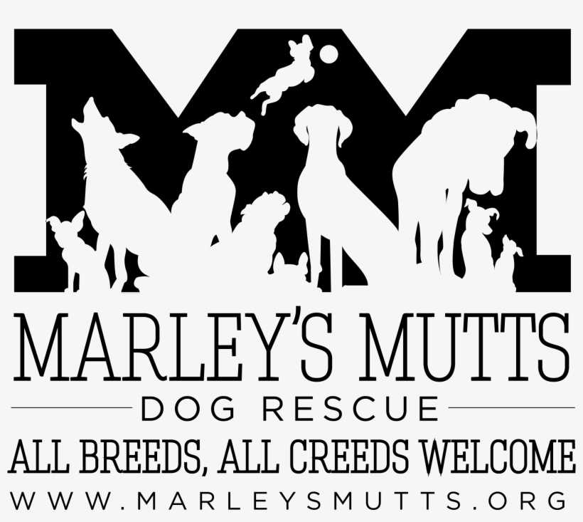 Tough Mudder For Marley's Mutts Photo, transparent png #7144339