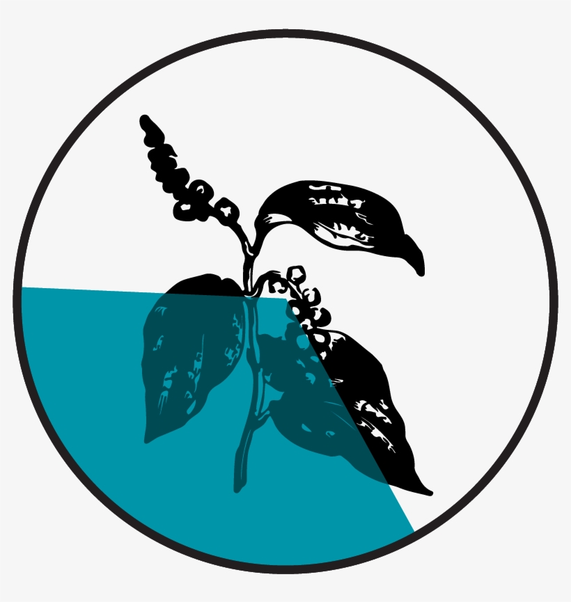 B-caryophyllene, transparent png #7145010
