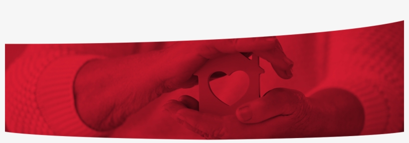 How Can Hospice Be Improved, transparent png #7147760