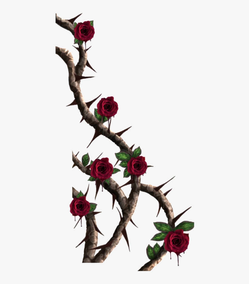 Roses Redrose Thorns Rosesandthorns, transparent png #7152426