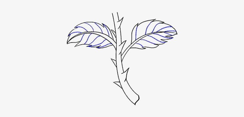 How To Draw Rose With A Stem, transparent png #7152624